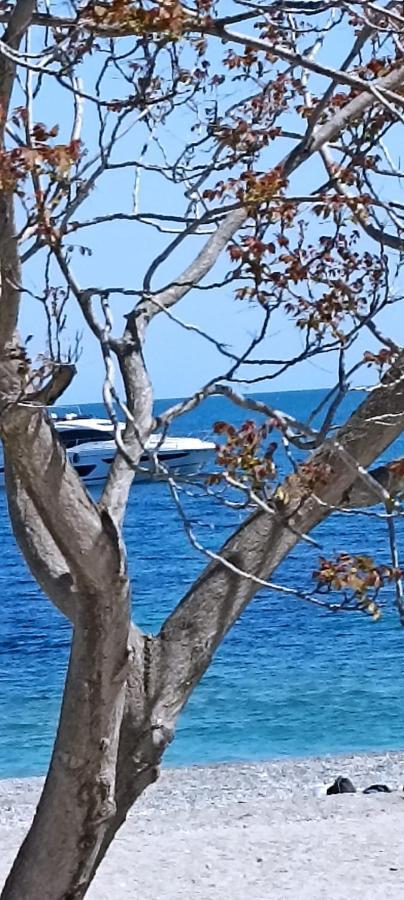 Apartamento La Cita Ca - Vista Mare Finale Ligure Exterior foto